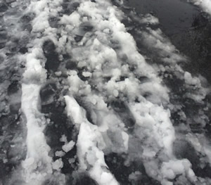 ゆ〜きやこんこ♪あられやこんこ♪雪の日はシチュー